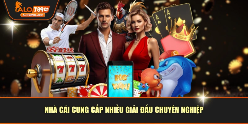 Nhà cái cung cấp nhiều giải đấu chuyên nghiệp